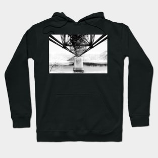 synergy Hoodie